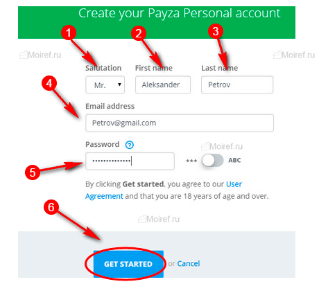 Регистрационные данные Payza